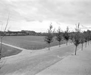 859006 Gezicht op het sportpark Strijland te Utrecht, vanaf het terras van het verenigingsgebouw van de sportvereniging ...